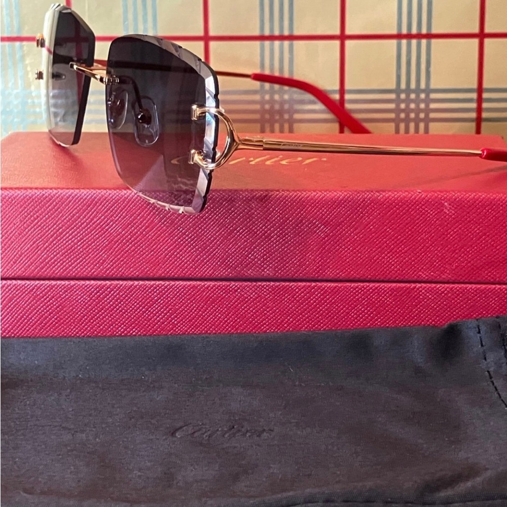 SOLD Cartier Black Big C Unisex Sunglasses - Picture 2 of 4